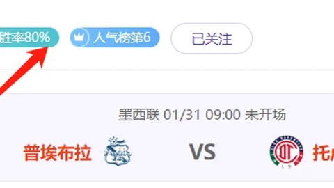 布萊頓夏季補強成功，荷蘭U21國門加入球隊！