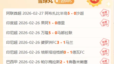 丹麦奥运冠军安赛龙因背伤手术修养，羽毛球赛场短期告别