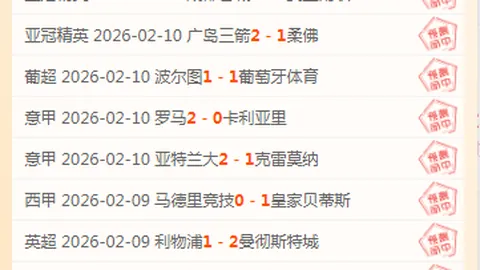 森林狼期号分析：专家质合推荐前区十码